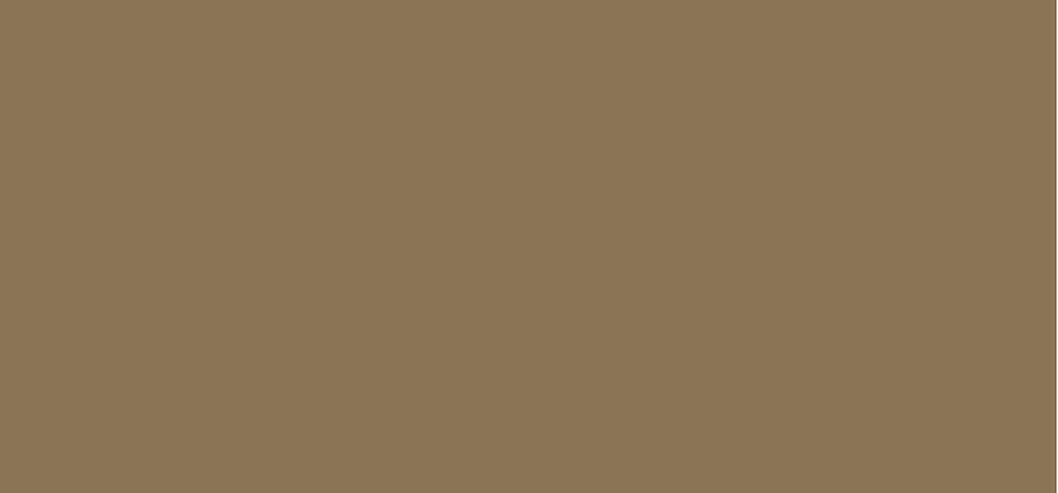Alcina balsamo colorante (Color Conditioning Shot) 150 ml - Tonalità: Cold Brown