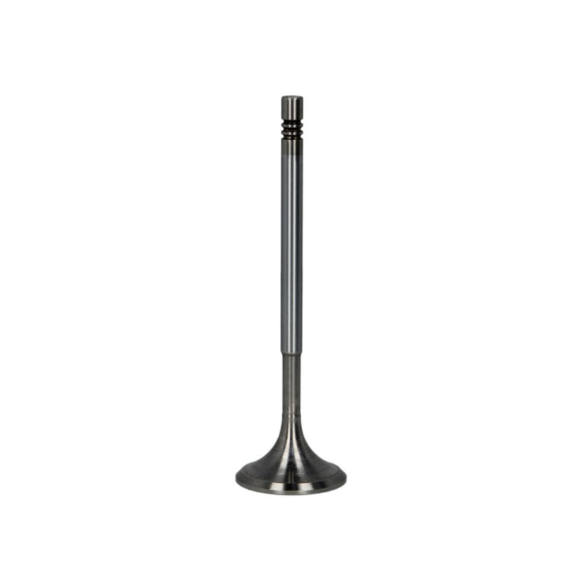 Imuventtiili FRECCIA R6630/SCR