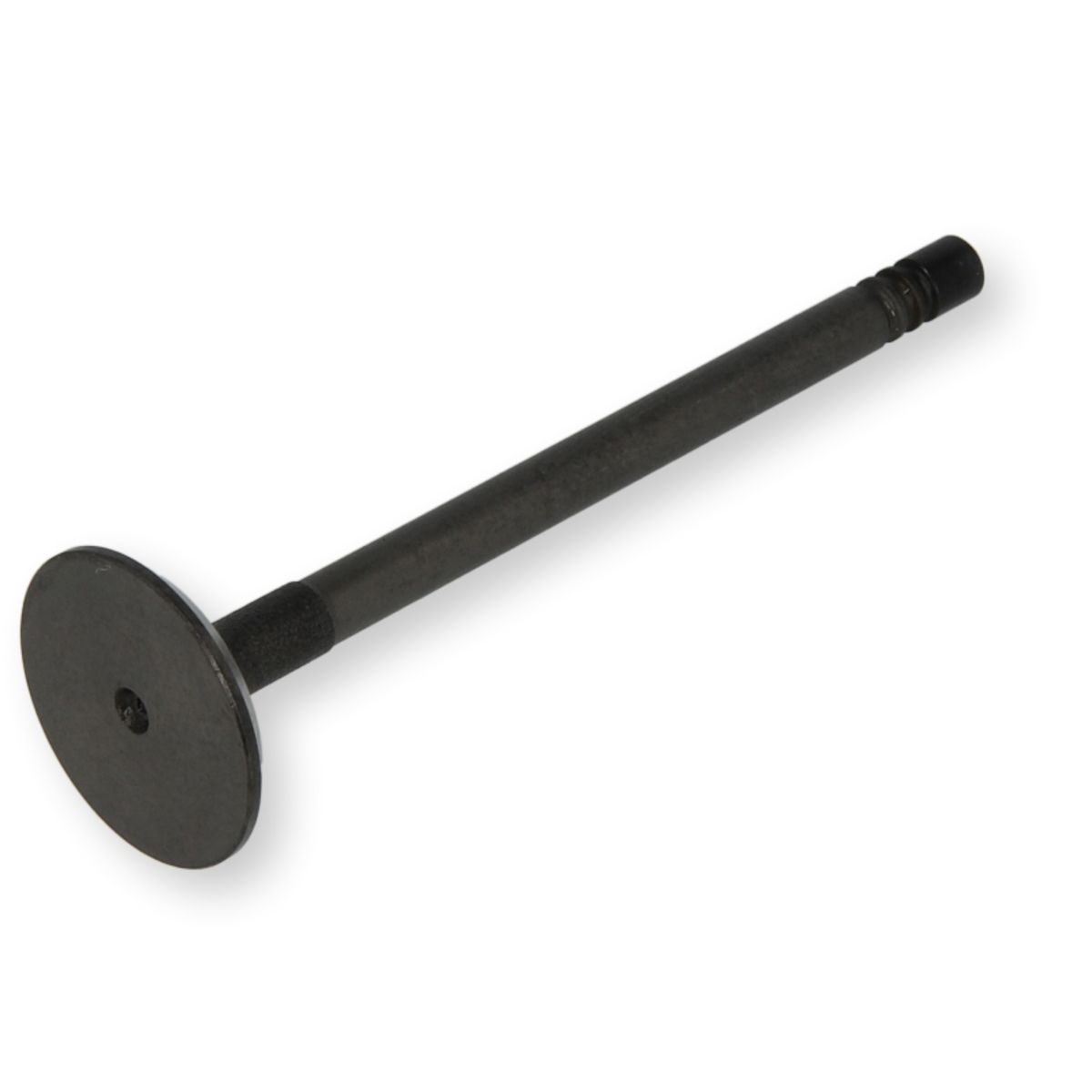 Imuventtiili IPSA VL173200