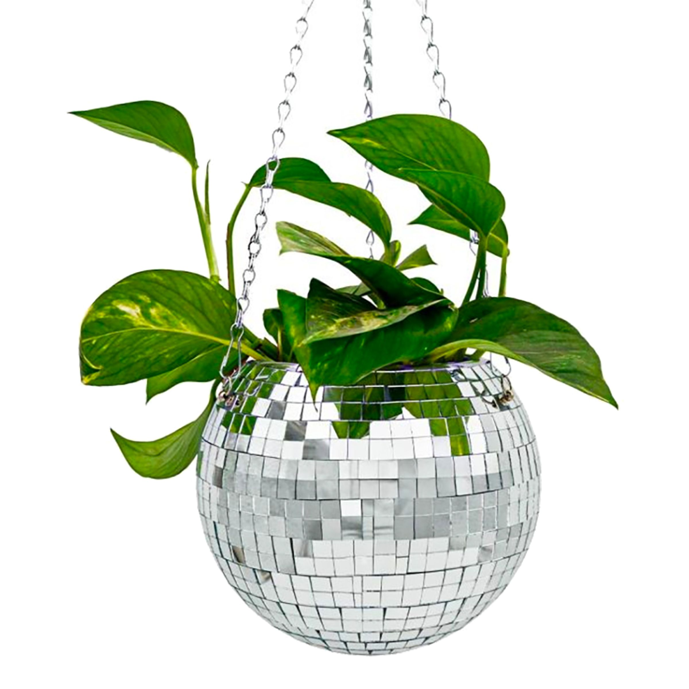 Mikamax Funky Disco Planter