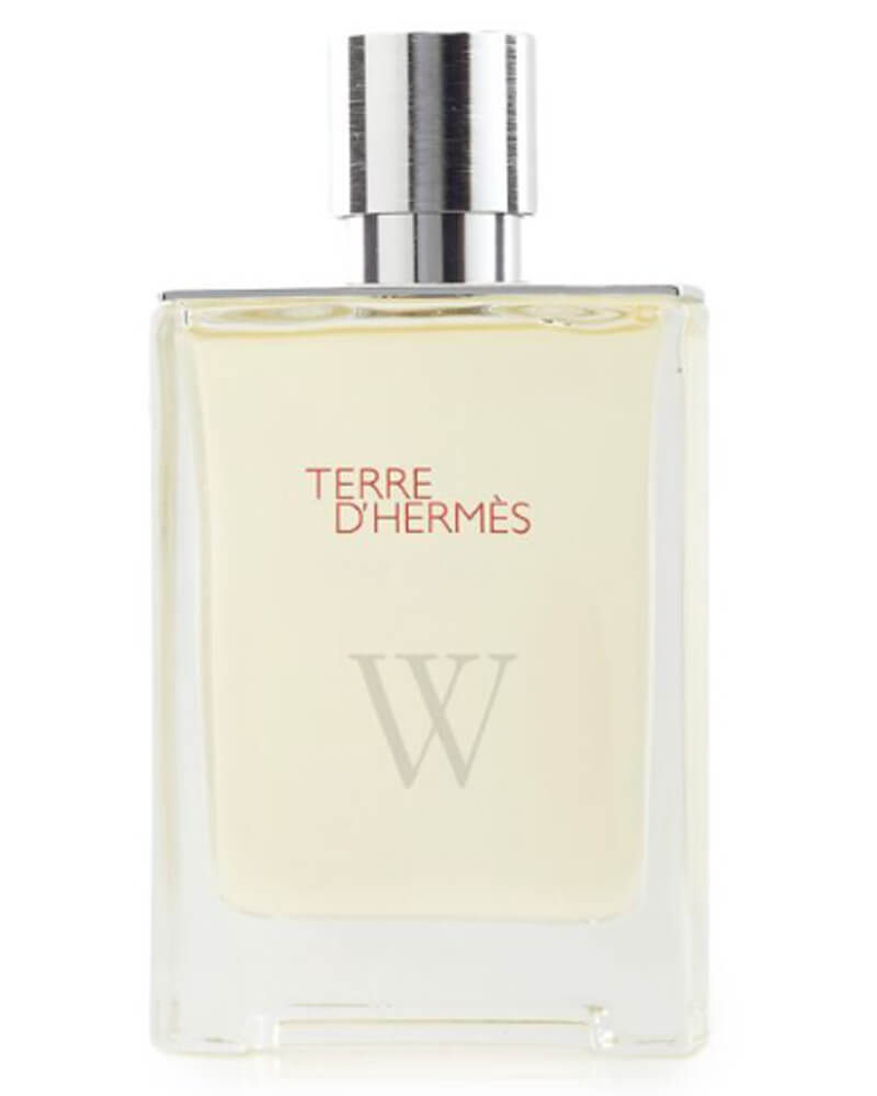 Hermès Terre d'Hermès Eau Givrée Refillable Spray EDP 100 ml