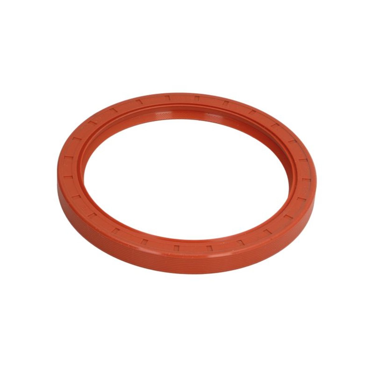 Akselitiiviste, kampiakseli FEBI BILSTEIN 09895