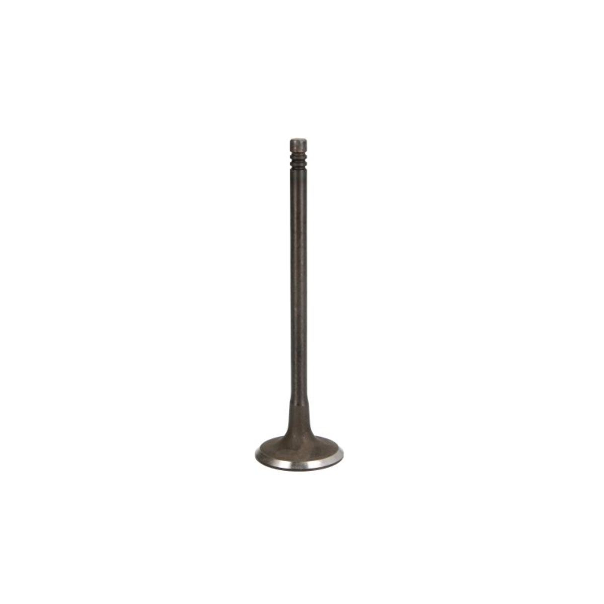 Imuventtiili IPSA VL211300