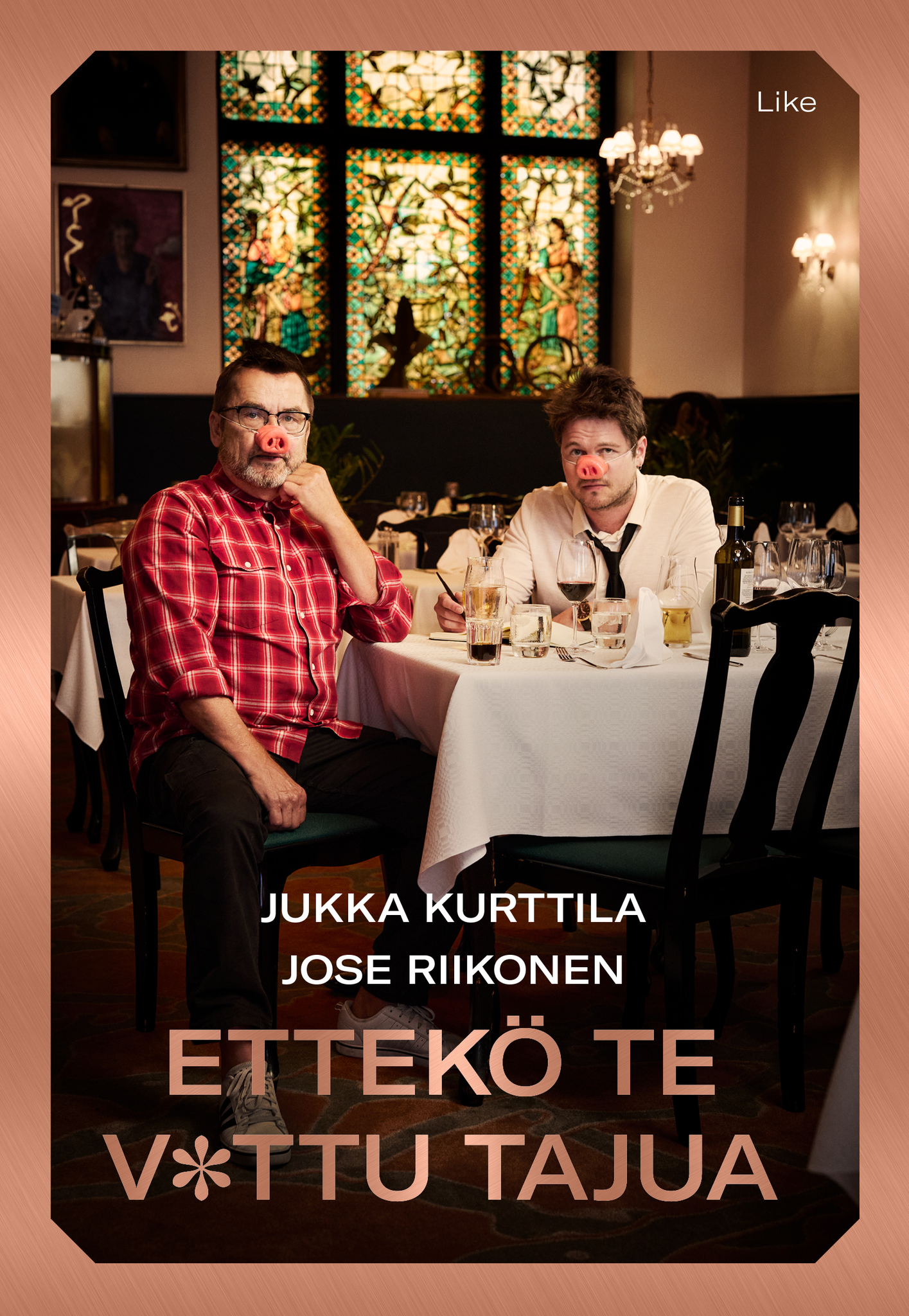 Finlayson Ettekö te v*ttu tajua -kirja