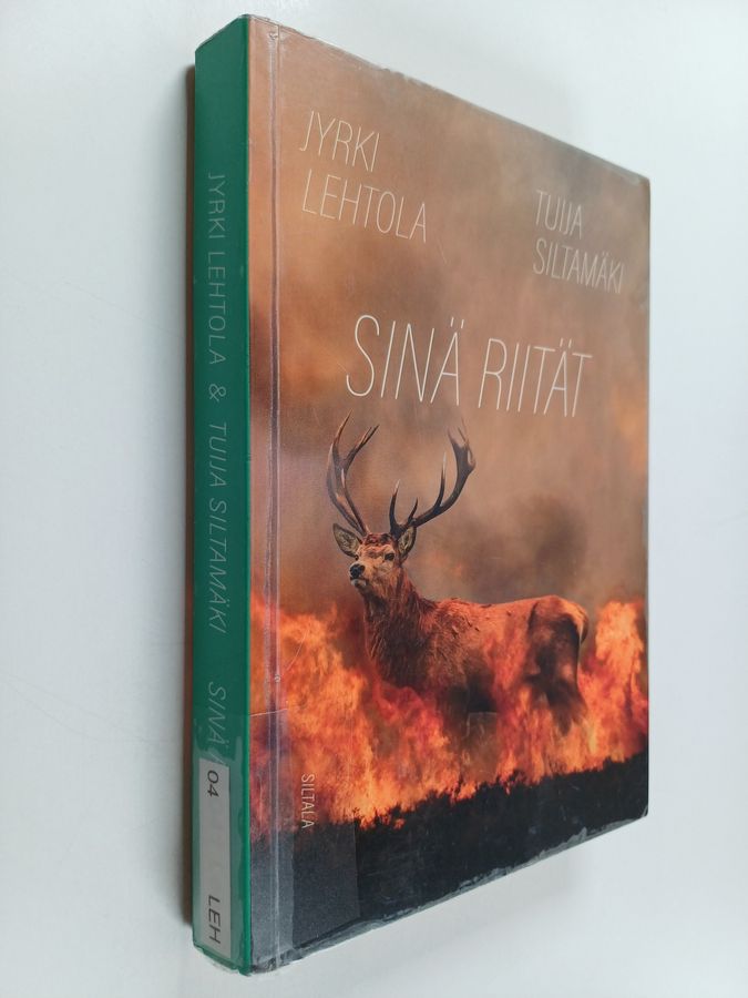 Sinä riität