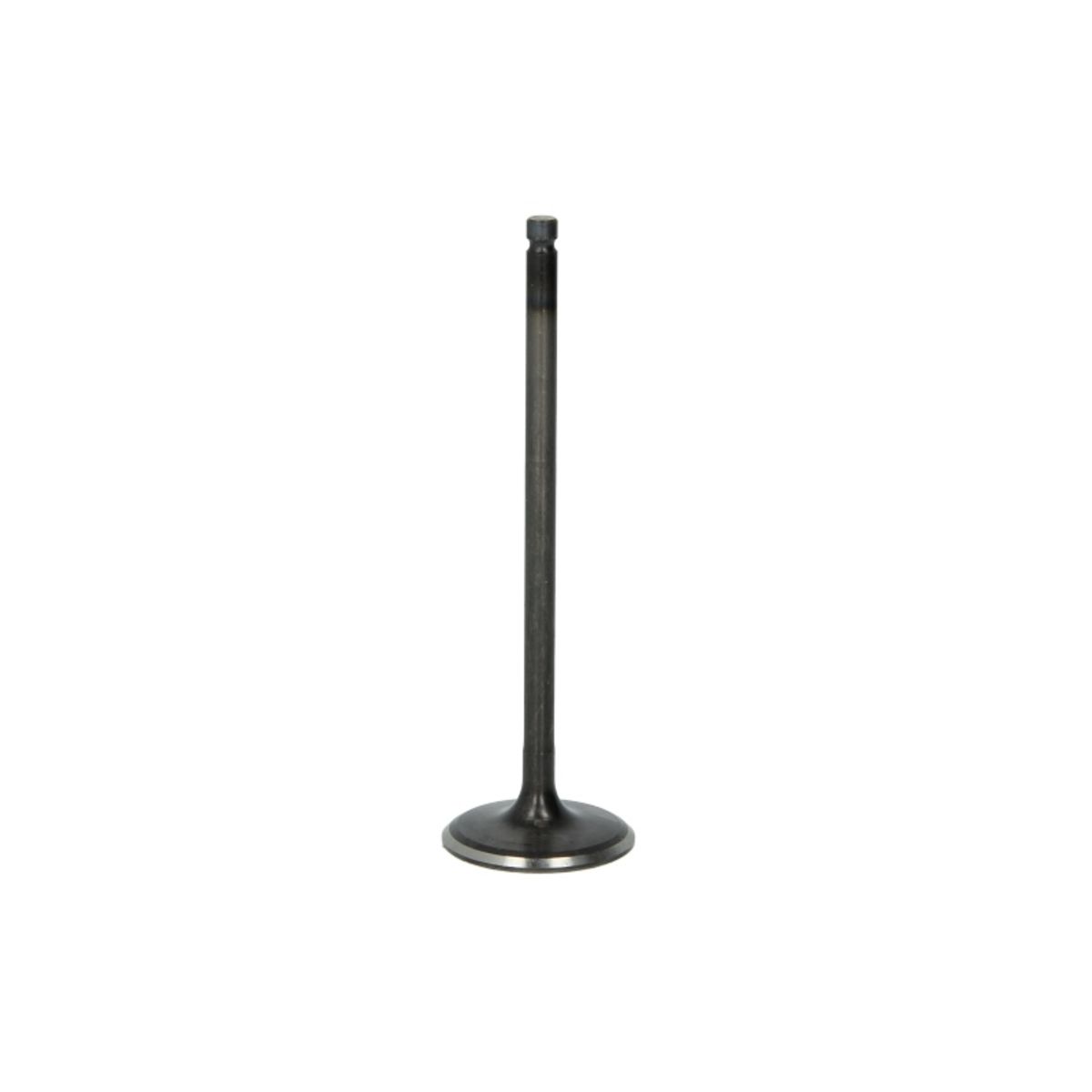 Imuventtiili FRECCIA R6540/SNT