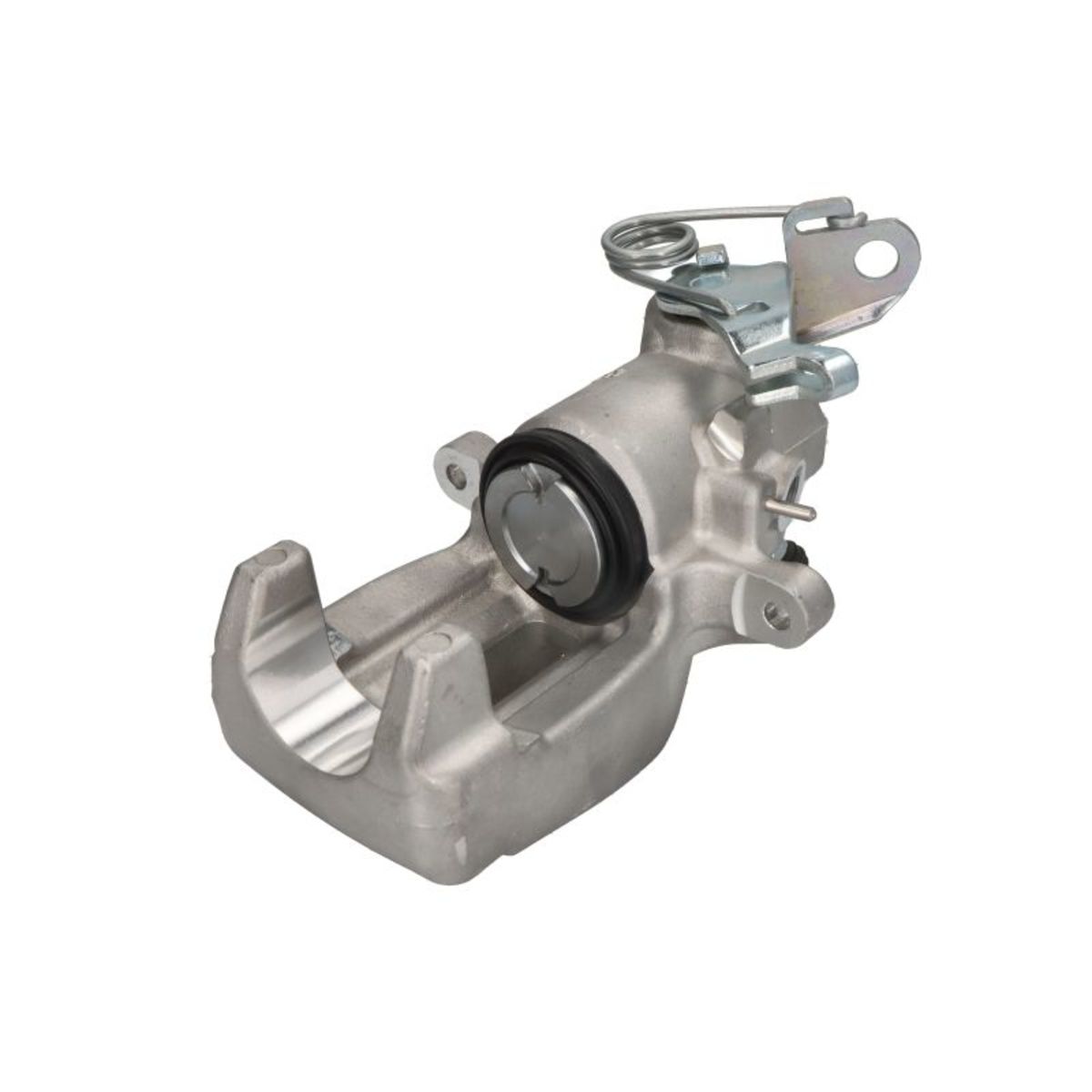 Jarrusatula BUDWEG CALIPER 343812