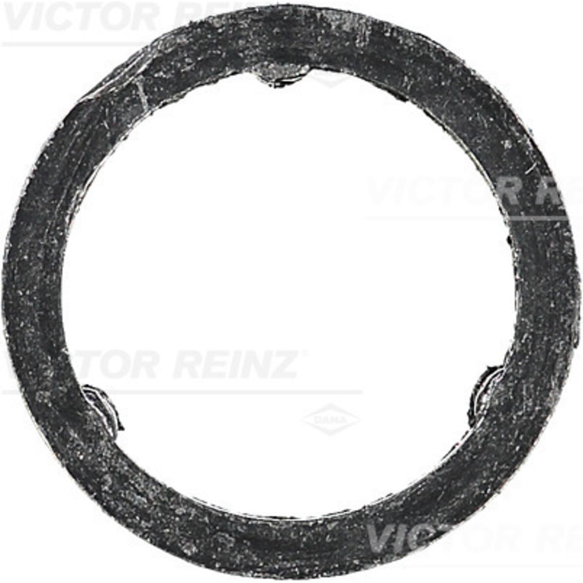 Tiiviste, pakosarja REINZ 71-10129-00