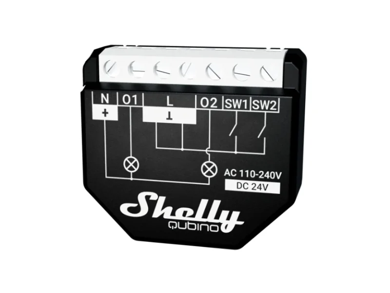 Shelly Qubino Wave 2PM