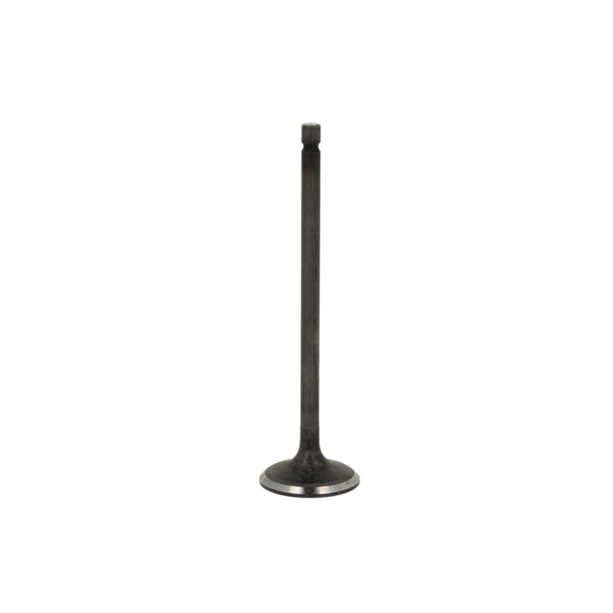 Imuventtiili FRECCIA R6585/SNT