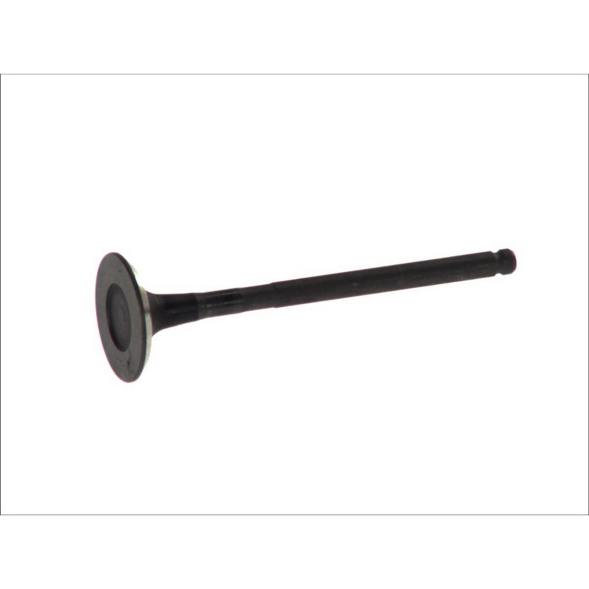 Pakoventtiili FRECCIA R6600/RNT