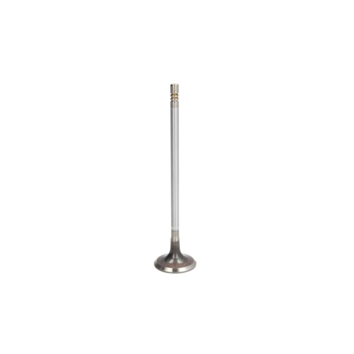Imuventtiili FRECCIA R6590/SCR