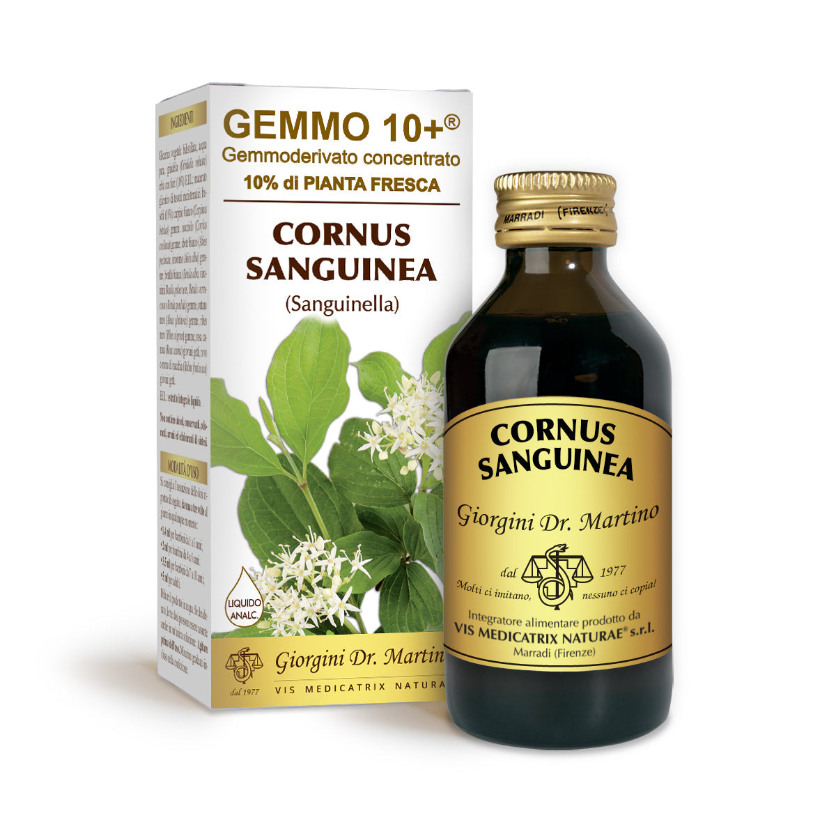 Dr Giorgini gemmo 10+ sanguinella 100 ml alkoholiton neste