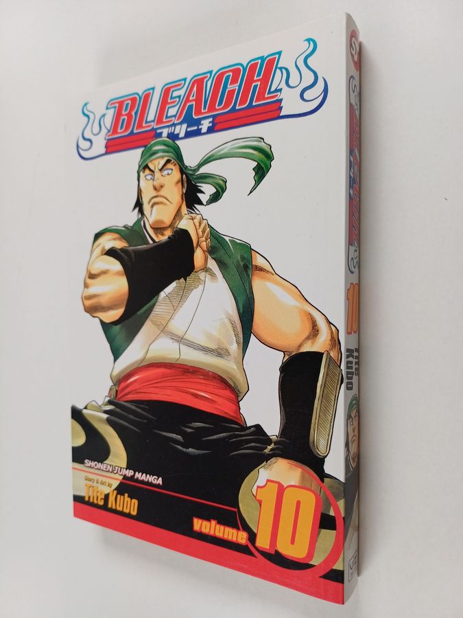 Bleach, Vol. 10