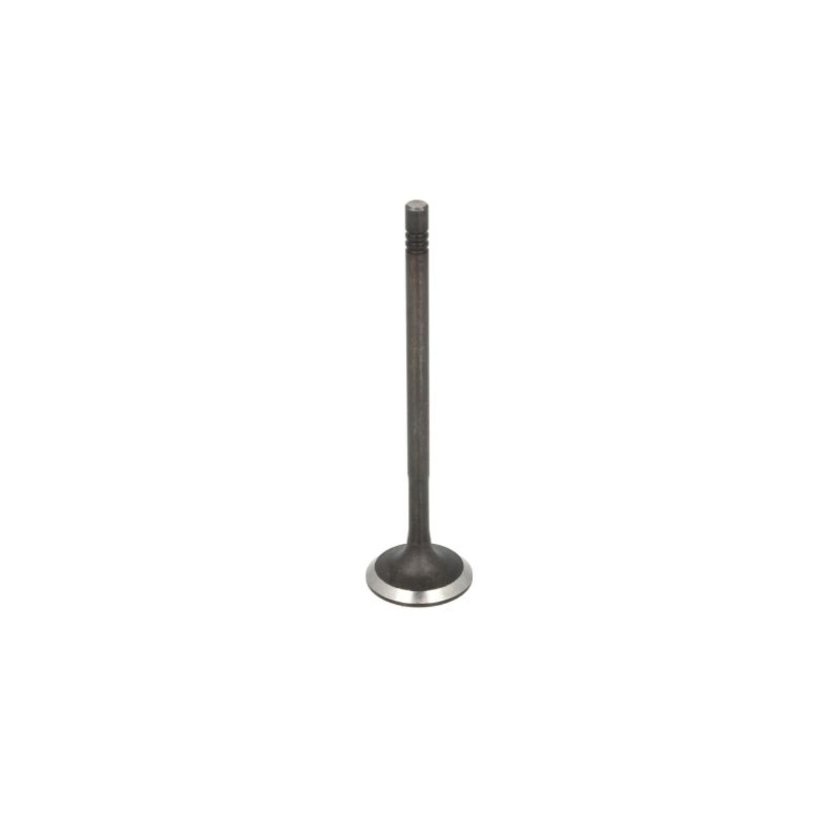 Imuventtiili FRECCIA R6799/SNT