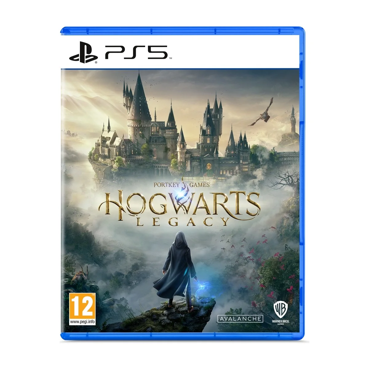 Hogwarts Legacy (PS5)