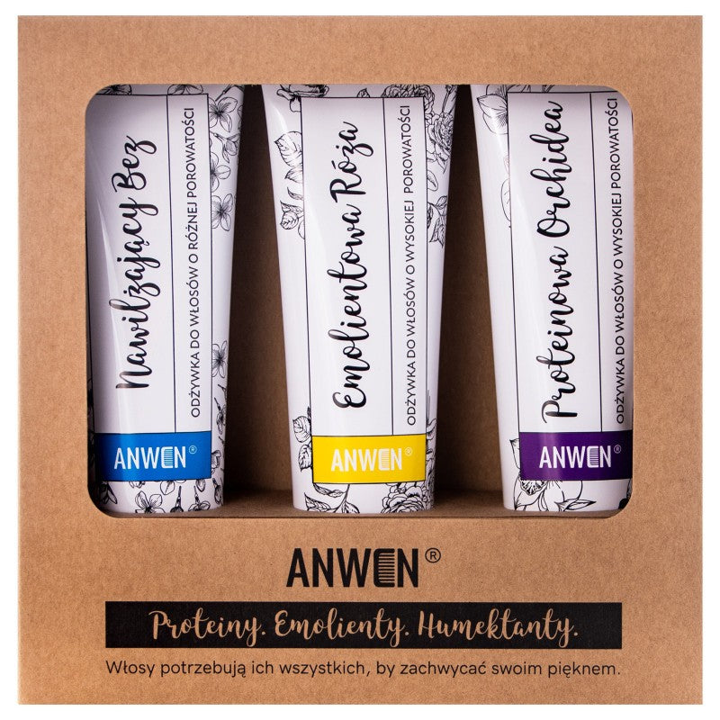 Hoitoaineet huokoisille hiuksille Anwen 3x100ml