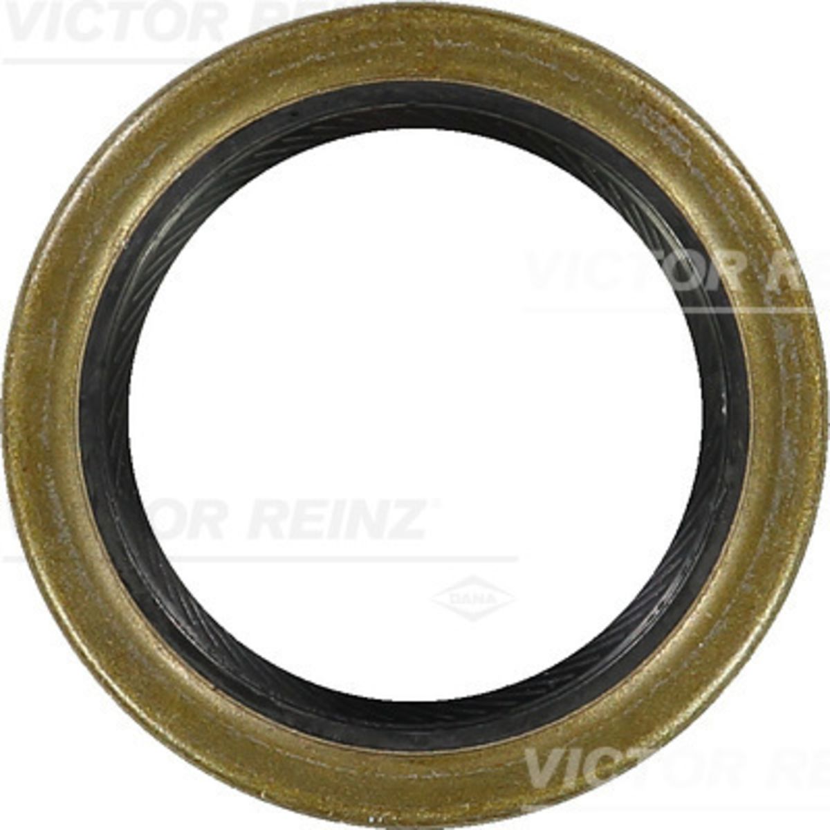 Akselitiiviste, kampiakseli REINZ 81-21087-10