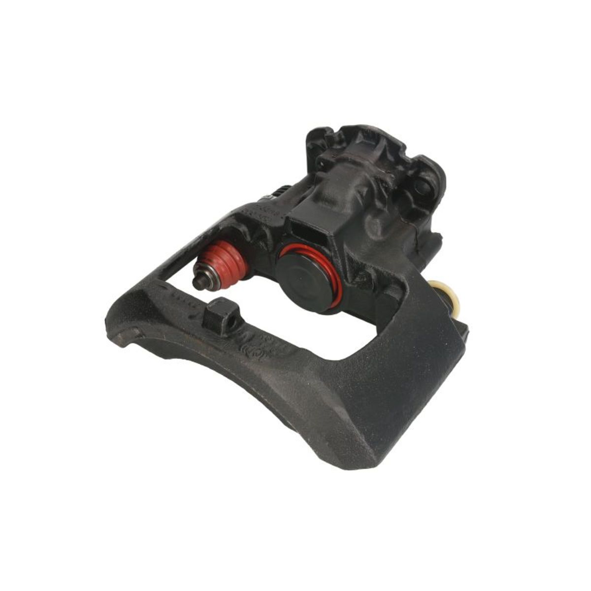 Jarrusatula SBP TEQ-BC.021