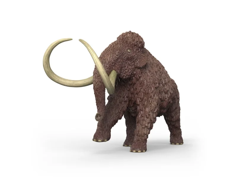 schleich 15053, 5 vuosi/vuosia, Monivärinen, Muovi