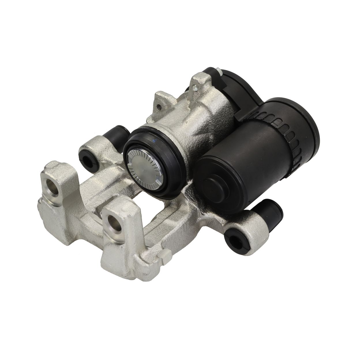 Jarrusatula BUDWEG CALIPER 345744