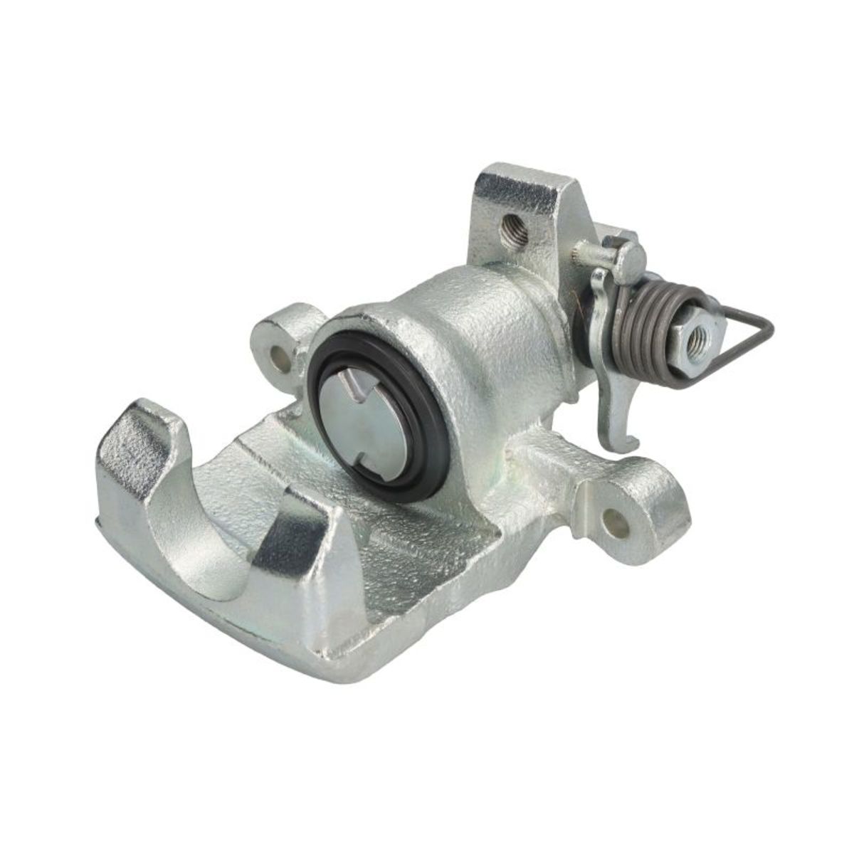 Jarrusatula BUDWEG CALIPER 343461
