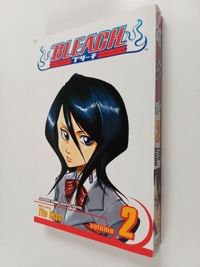 Bleach, Vol. 2