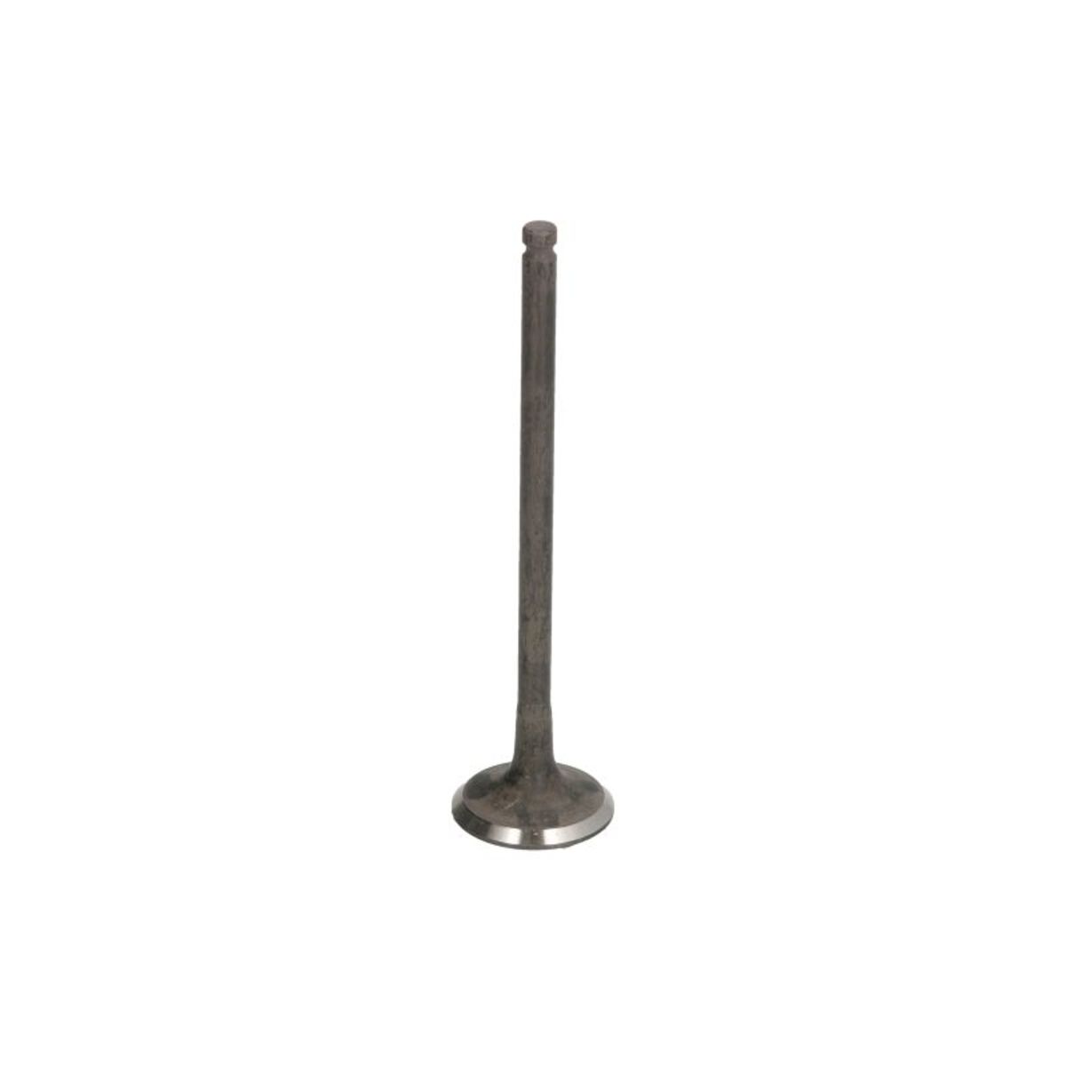 Pakoventtiili IPSA VL229300