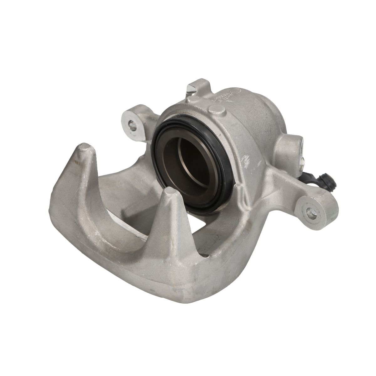 Jarrusatula BUDWEG CALIPER 345372