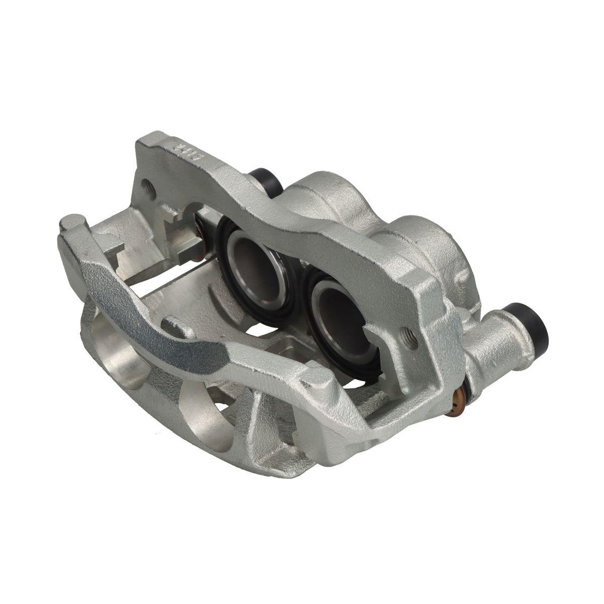 Jarrusatula SBP TEQ-BC.237