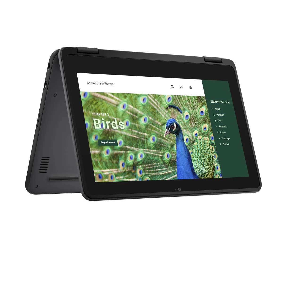 Dell Chromebook 3120 2in1 (2024)