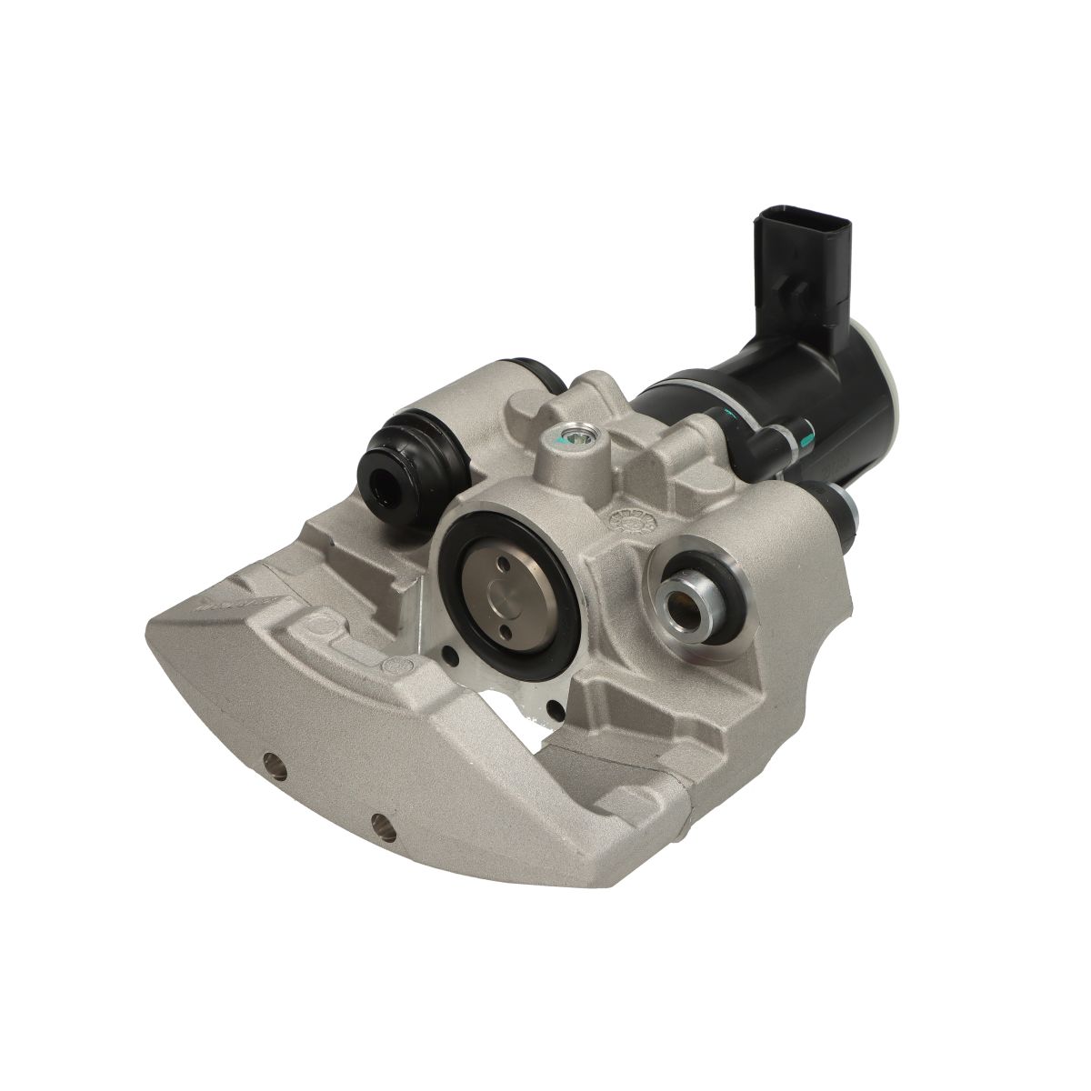 Jarrusatula BUDWEG CALIPER 345717