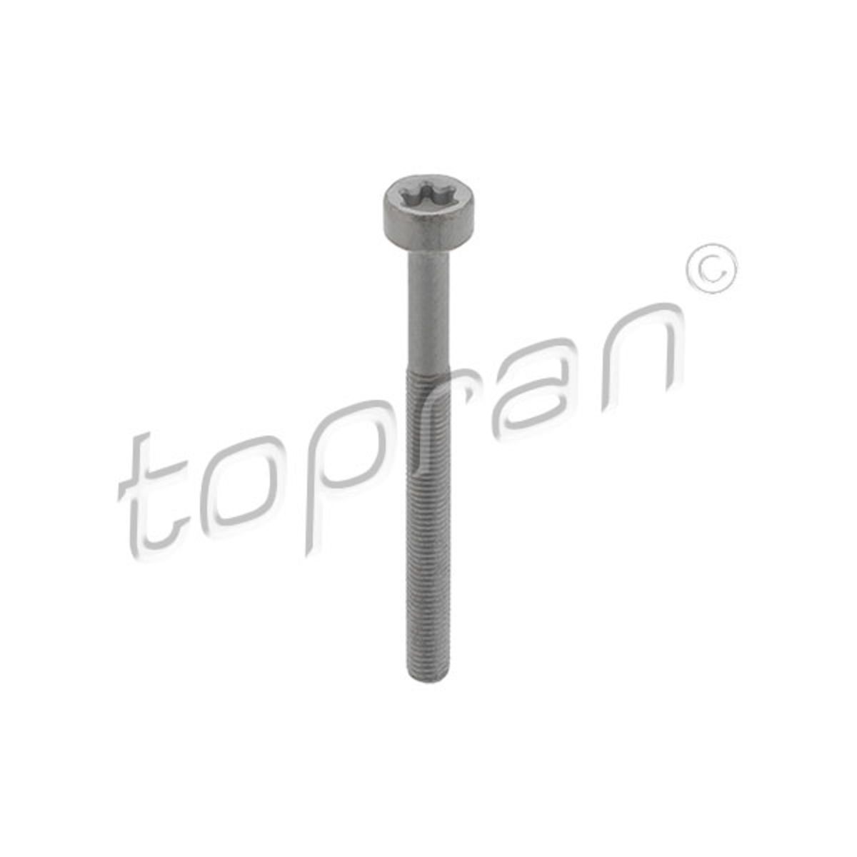 Ruuvi ruiskutussuutinpidike TOPRAN 410 287