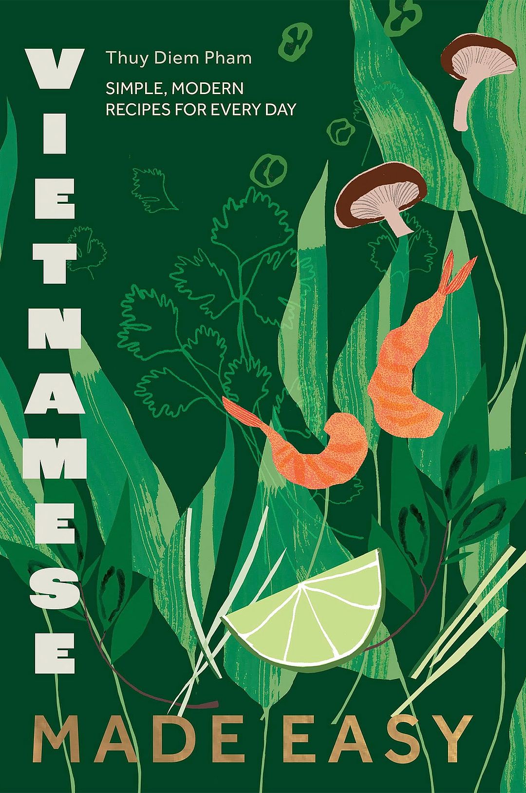 Vietnamese Made Easy