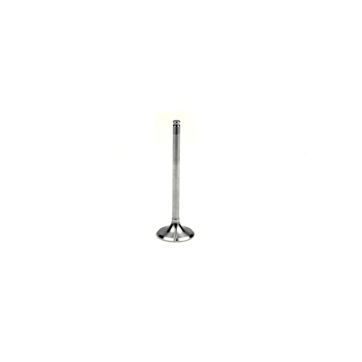 Pakoventtiili ATHENA VE-210202S