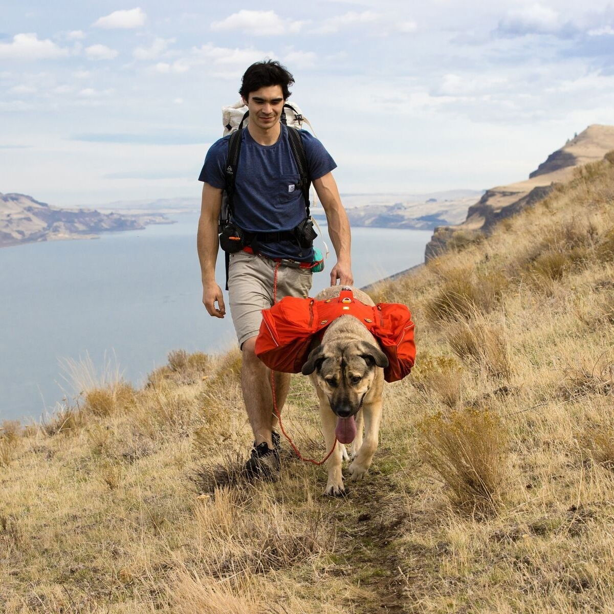Ruffwear koiran reppu Palisades Pack, punainen
