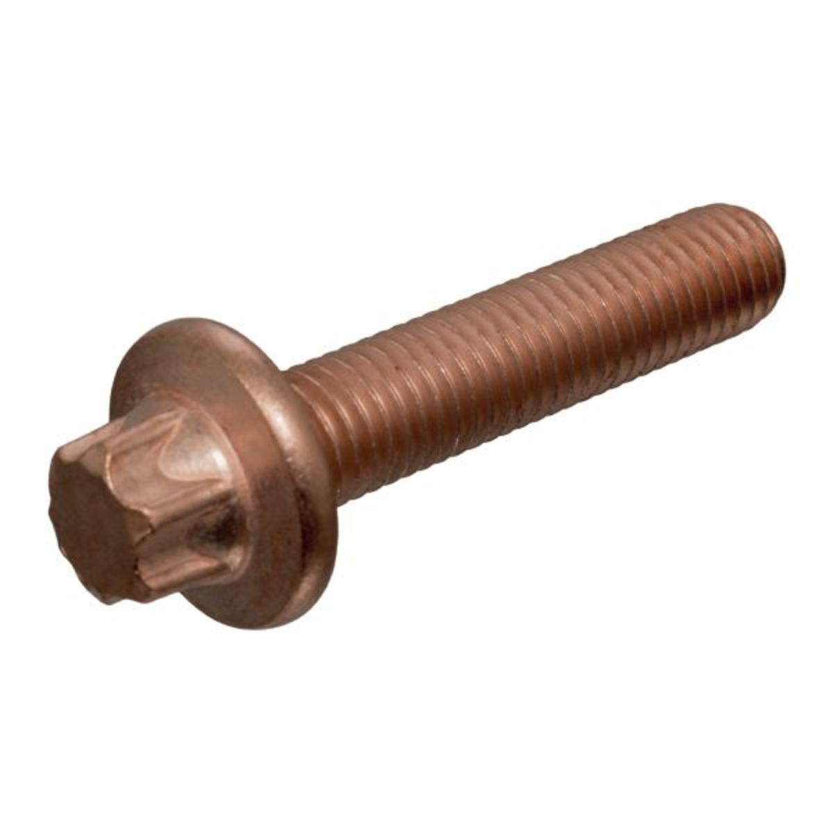 Ruuvi, pakoputkisto FEBI BILSTEIN 12513