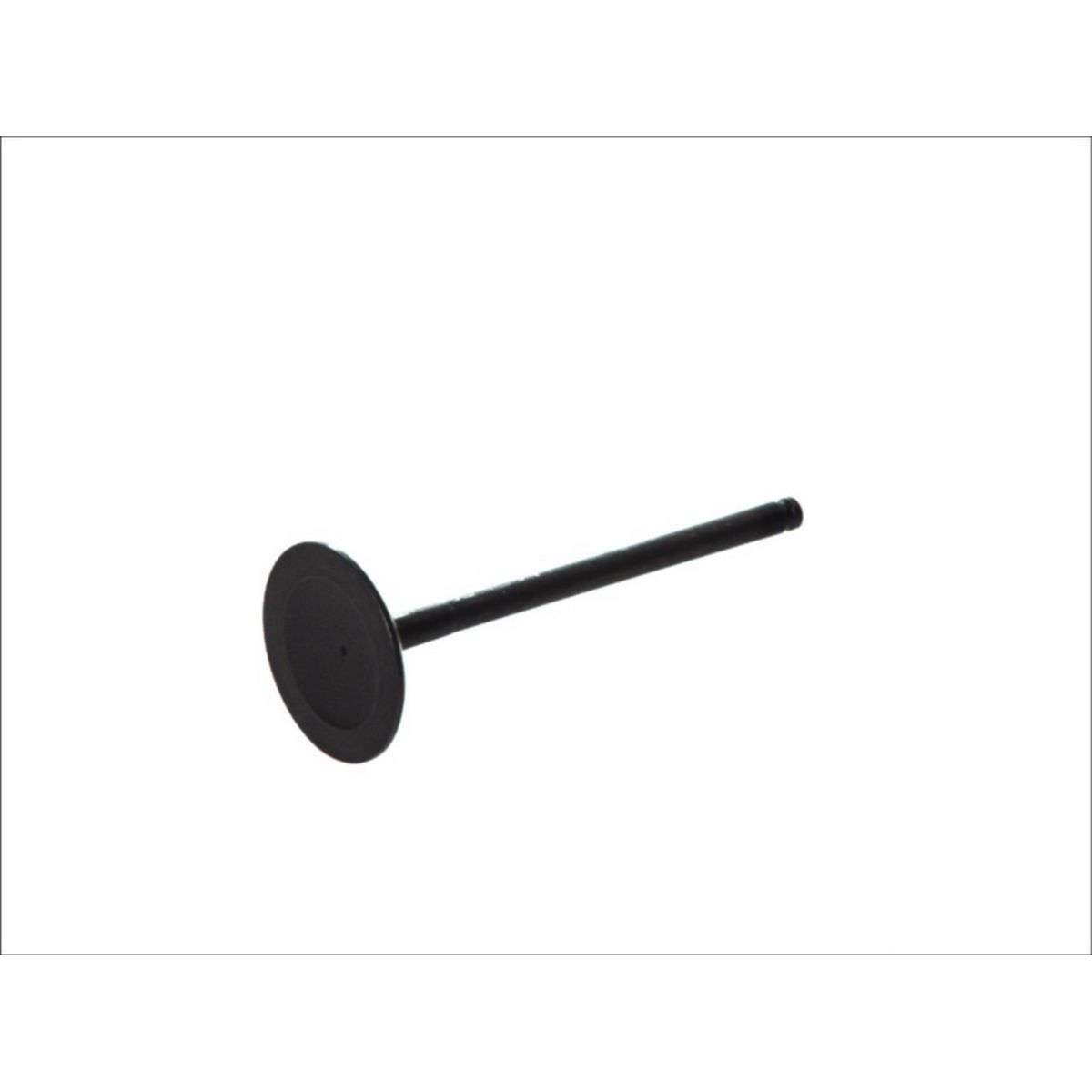 Imuventtiili FRECCIA R6130/SNT
