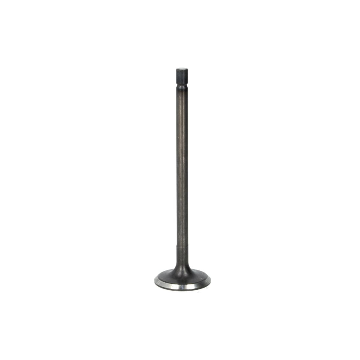 Imuventtiili FRECCIA R6572/SNT