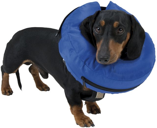 Buster puhallettava kauluri XL, nylon