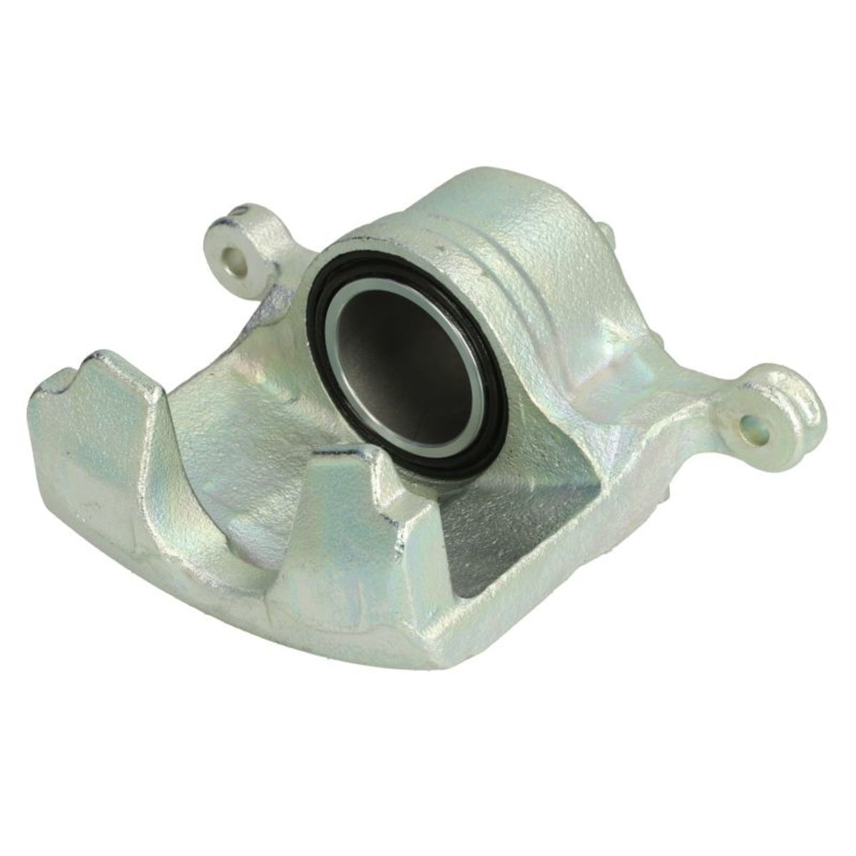 Jarrusatula BUDWEG CALIPER 343253