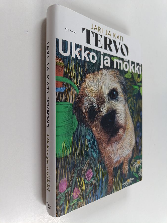 Ukko ja mökki