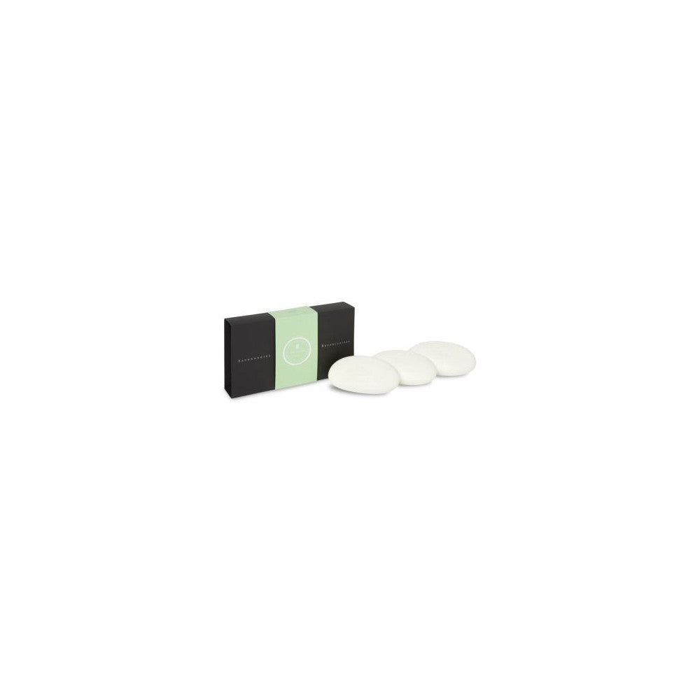 Savonneries bruxelloises Fern 3 x 100 g