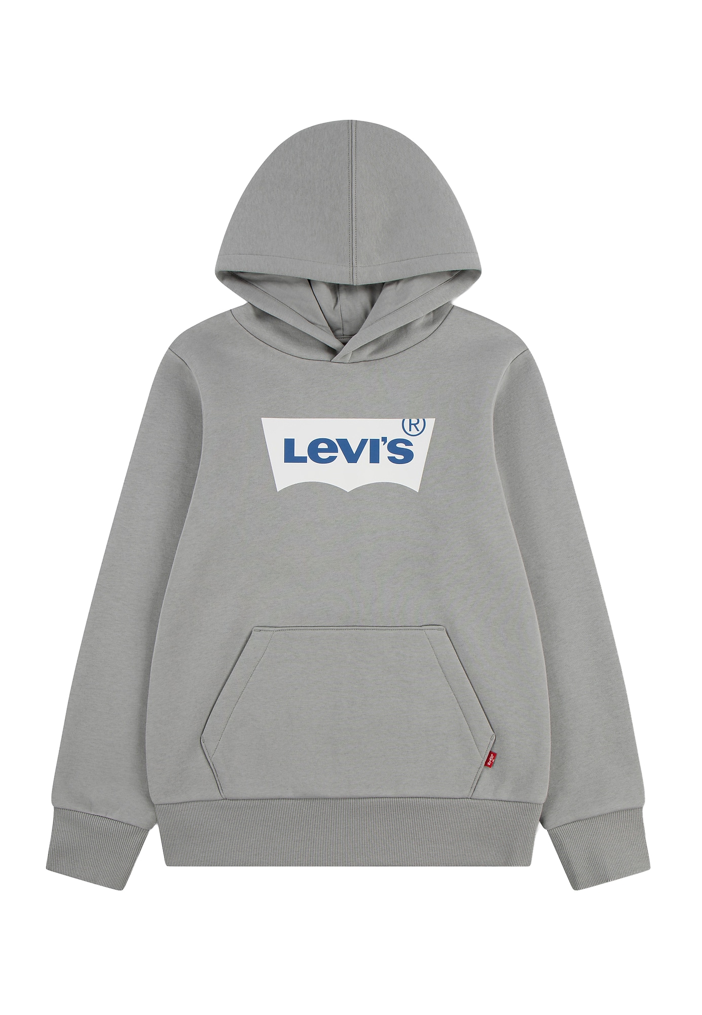 Hupparit Levis BATWING SCREENPRINT HOODIE 14 vuotta