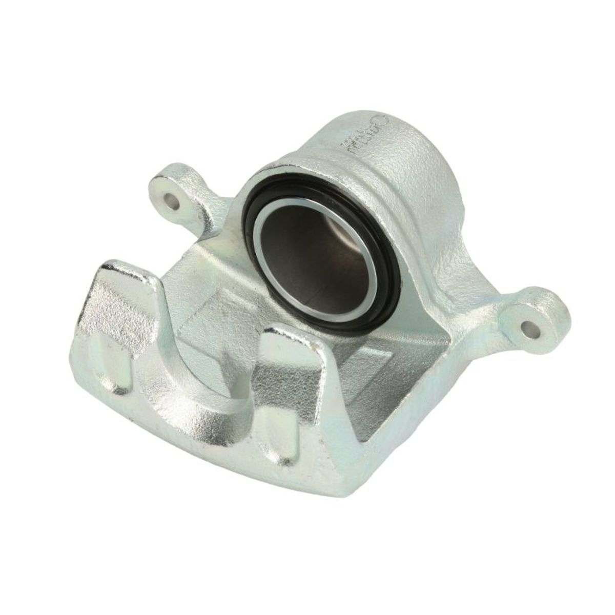 Jarrusatula BUDWEG CALIPER 344523