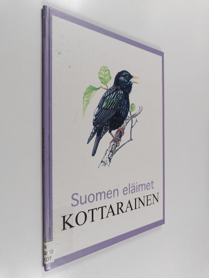 Kottarainen