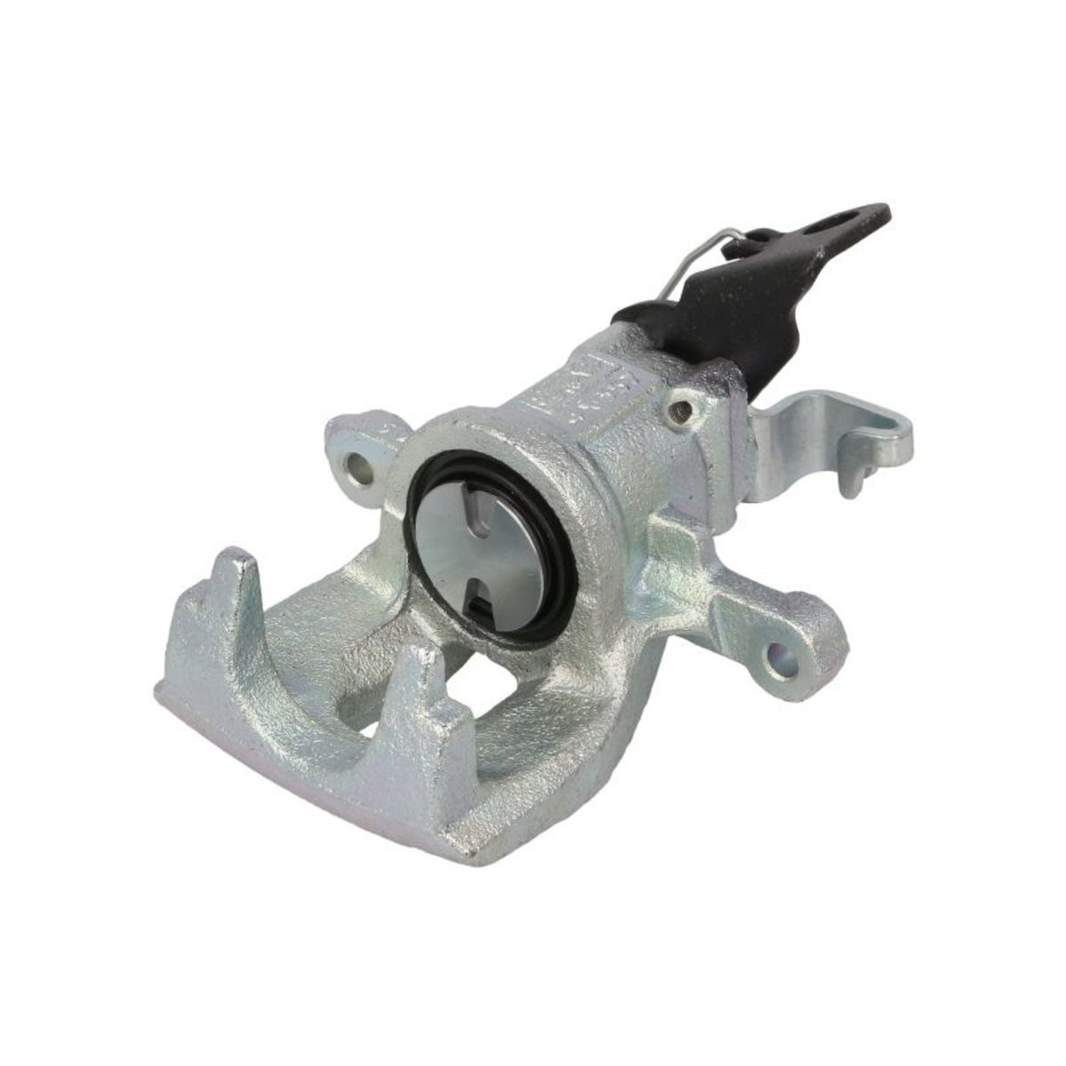 Jarrusatula BUDWEG CALIPER 343471
