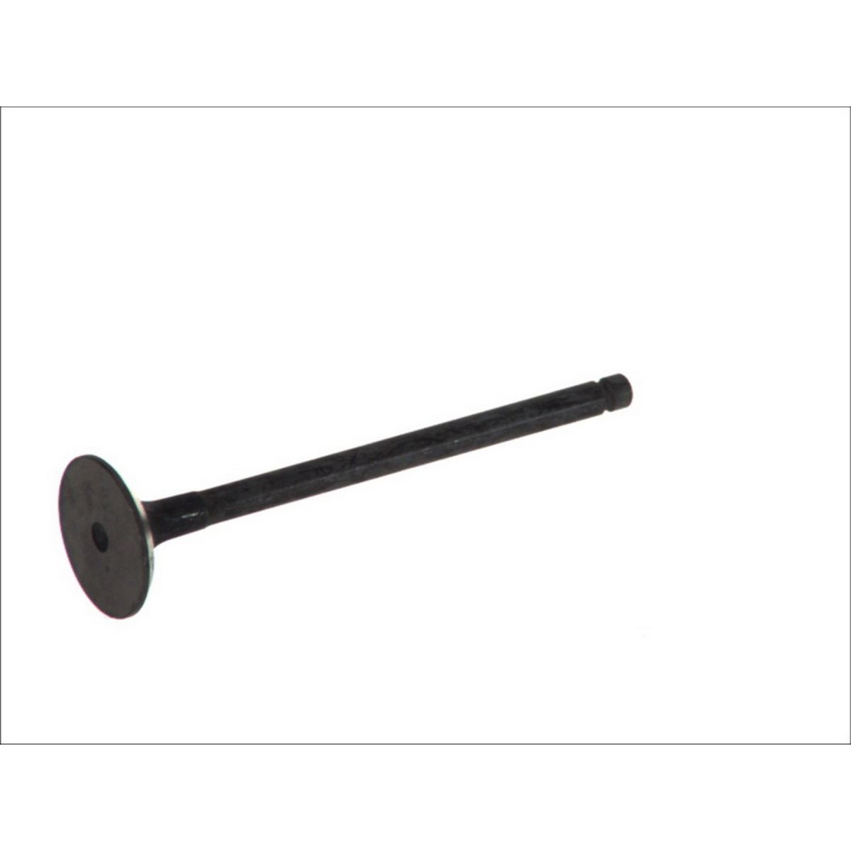 Imuventtiili FRECCIA R6183/RNT