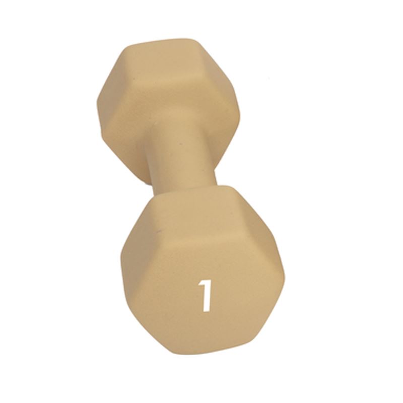 Abilica DumbBell