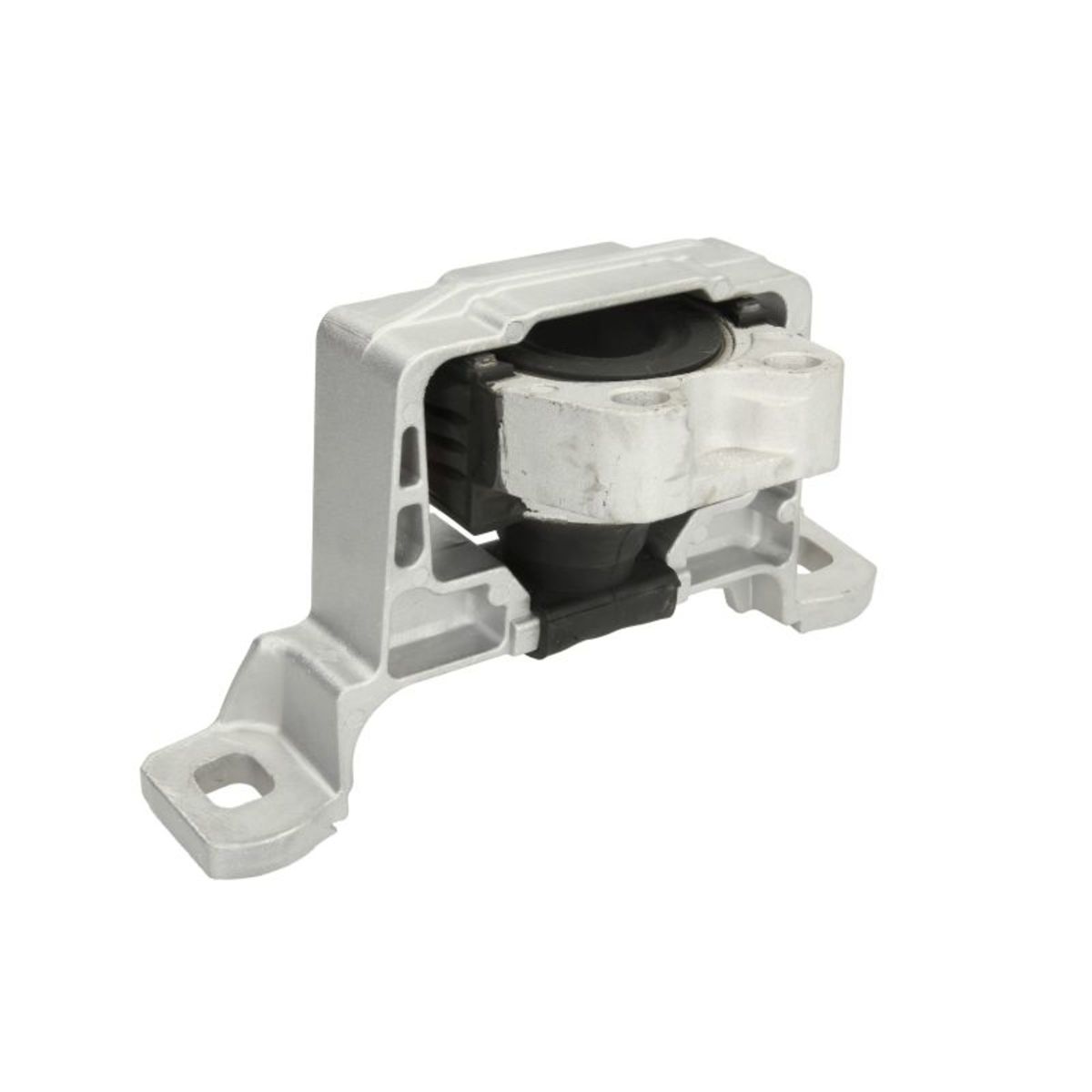 Moottorin tuki REINHOCH RH11-4019